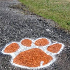 Meet your Posher, Janice